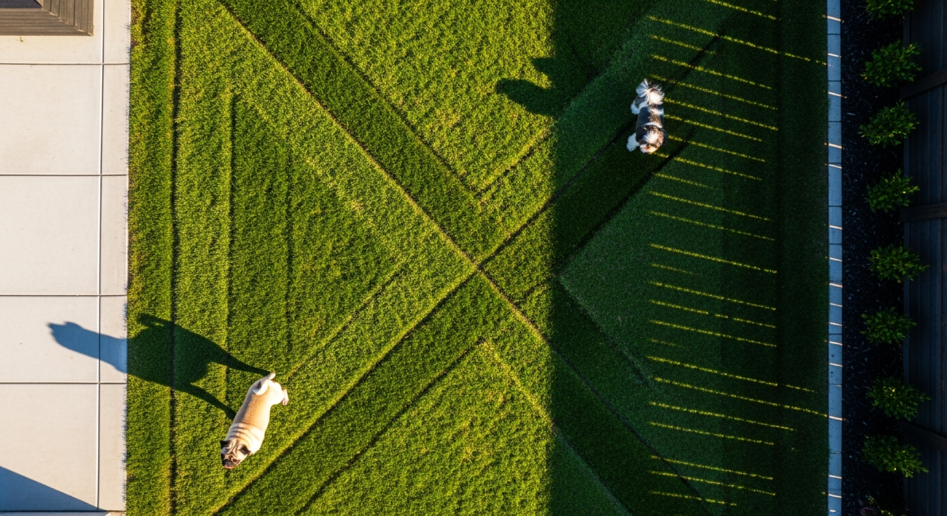 Aerial yard view